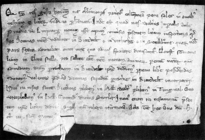 Die erste Urkundliche Erwähnung Verrenbergs - 1264